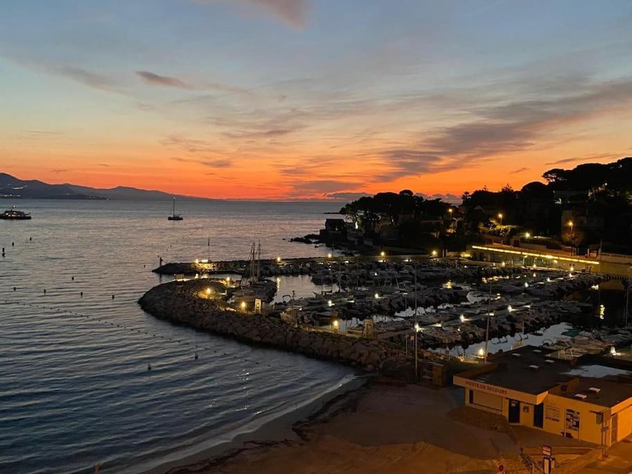 La Petite Grenille Apartment Antibes